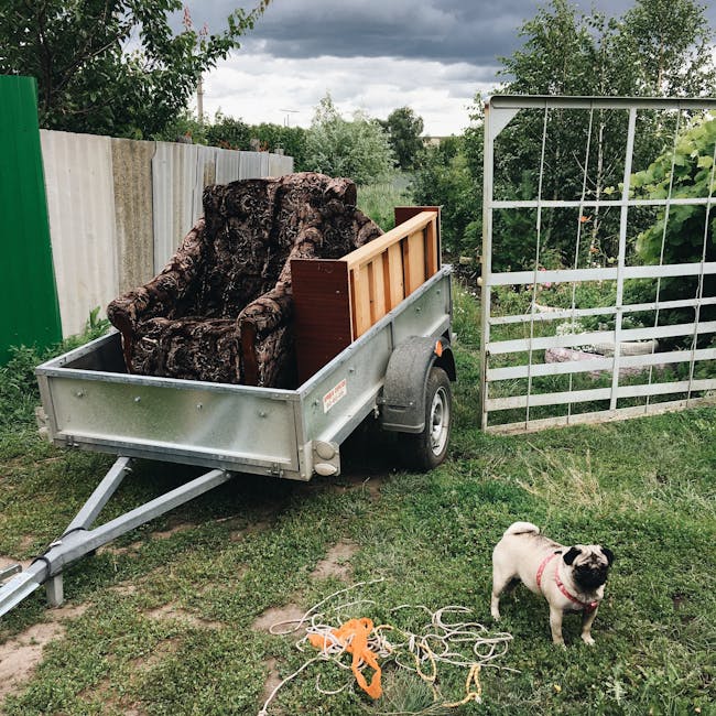 https://manwithavansouthfields.co.uk/blog/bulky-item-collection-options-in-southfields-sw18/
